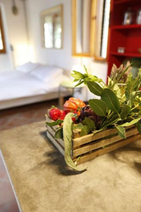 Campigallino, casa immersa nella natura. Casale Marittimo